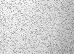 tech article med fig2b