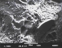 tech article med fig4