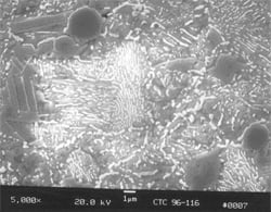 tech article med fig8