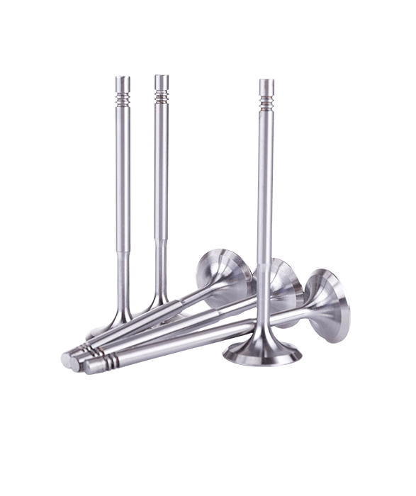 Engine Valves