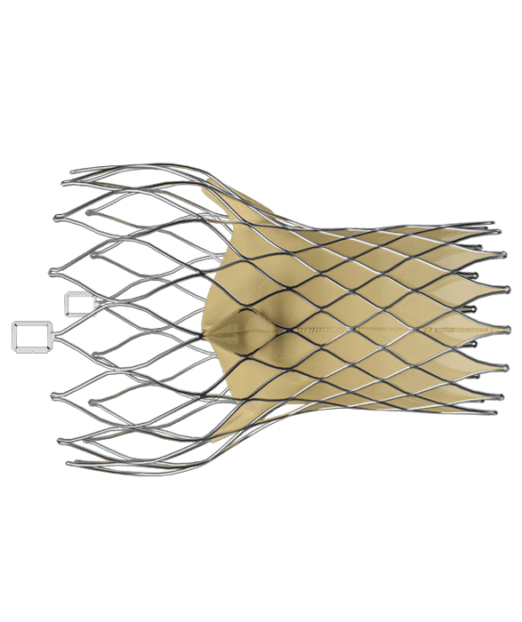 Structural Heart Applications