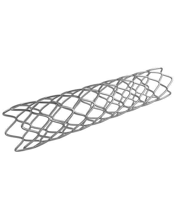 Vascular Stents